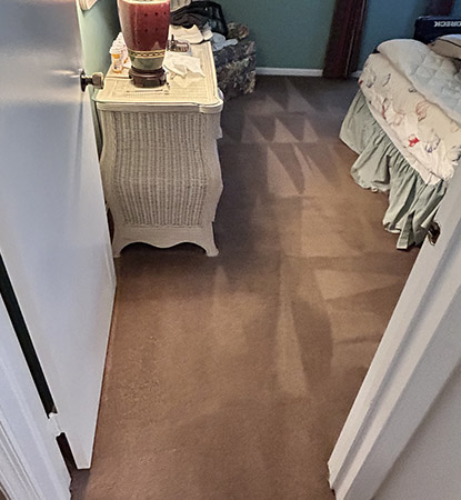 Professional Carpet Cleaning Services