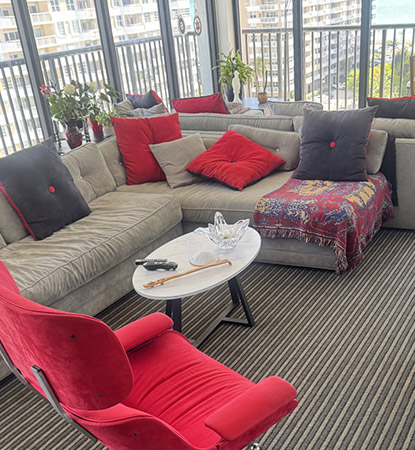 Professional Upholstery Cleaning